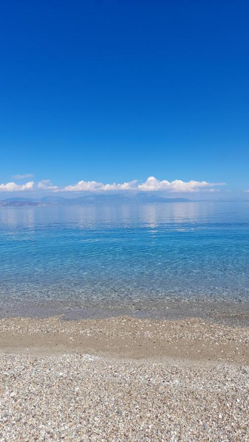 Akrata Rose Garden Apartments I Paralia Akratas Esterno foto